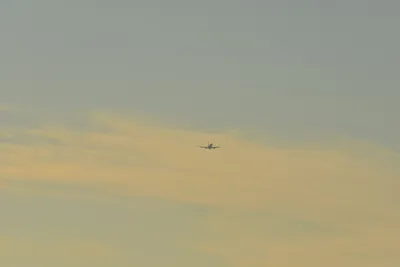 DSC_5688 (Large).JPG